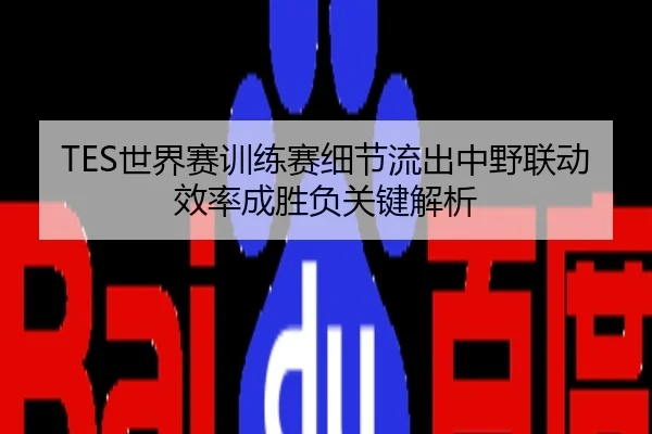 TES世界赛训练赛细节流出中野联动效率成胜负关键解析
